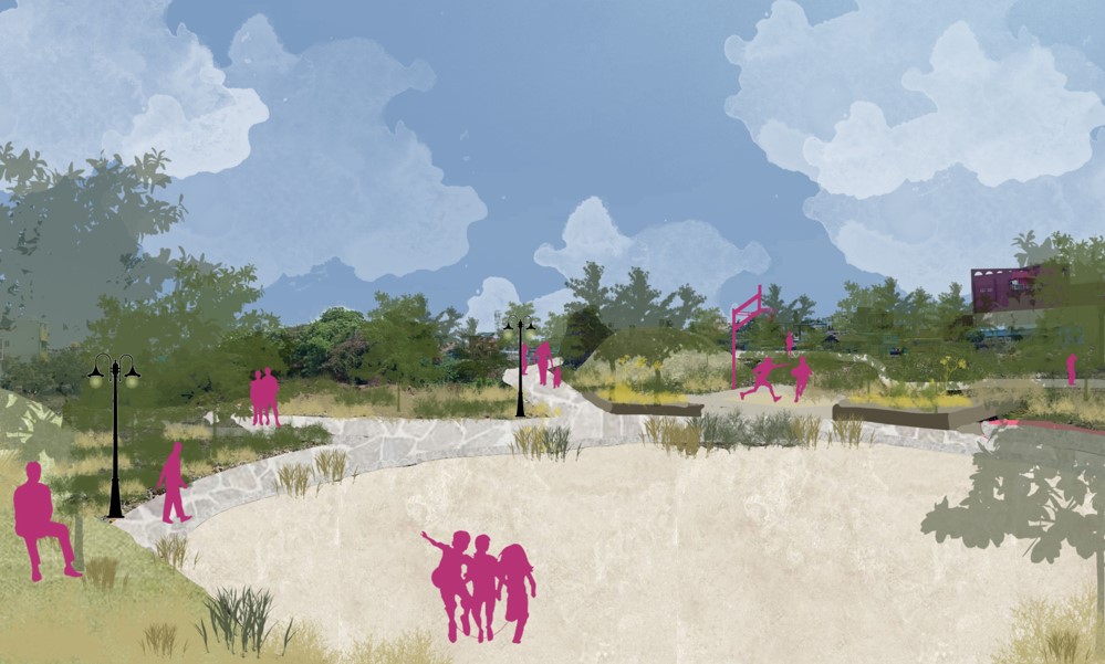 View 2 - boardwalk, wetland trail, and active zone